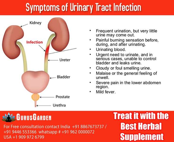 Symptoms of Urinary Tract Infection #bladderhealthsupplement