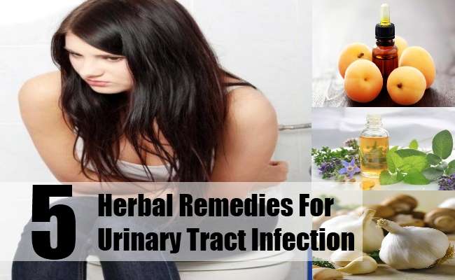 Top 5 Herbal Remedies For Urinary Tract Infection