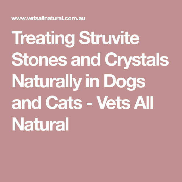 Treating Struvite Stones and Crystals Naturally in Dogs and Cats (With ...
