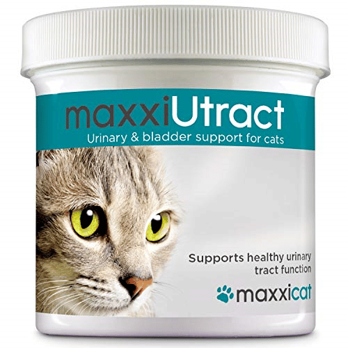 Urinary and Bladder Supplement for Cats Prevent UTI Recurrence Support ...