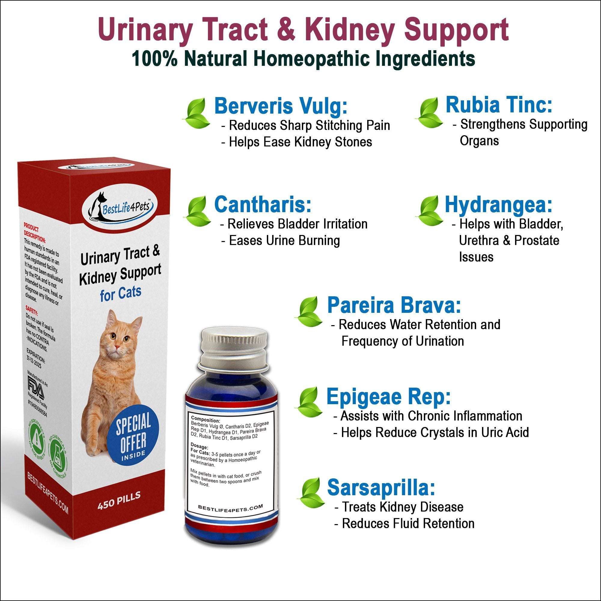Urinary Tract Infection and Kidney Support Remedy for Cats ...