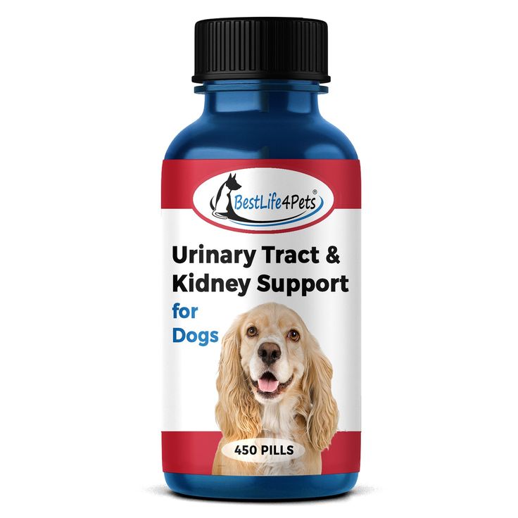 Urinary Tract Infection and Kidney Support Remedy for Dogs (450 pills ...