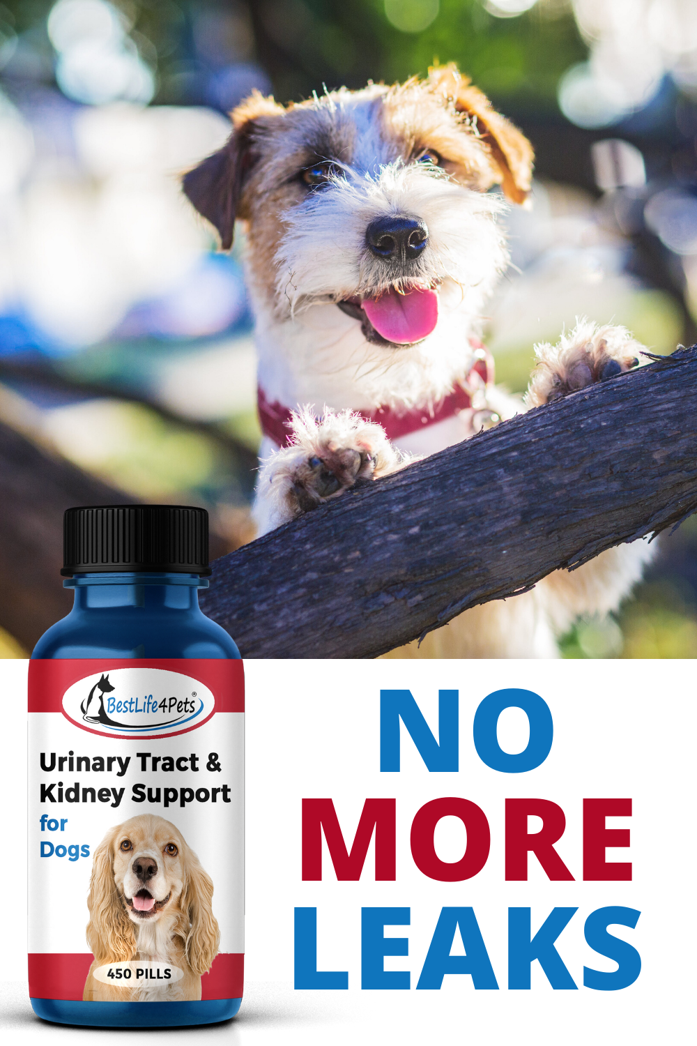 Urinary Tract Infection and Kidney Support Remedy for Dogs ...