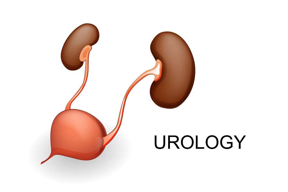 Urinary Tract Infection (UTI) vs STD