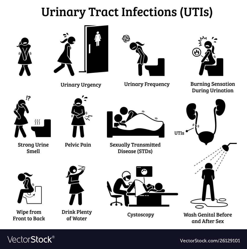 Urinary tract infections utis icons depict signs Vector Image