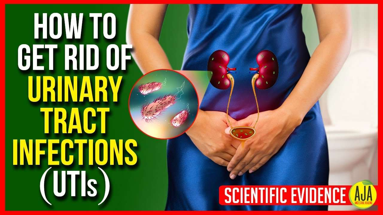 UTIs: How You Can Get Rid Of A Urinary Tract Infection ...