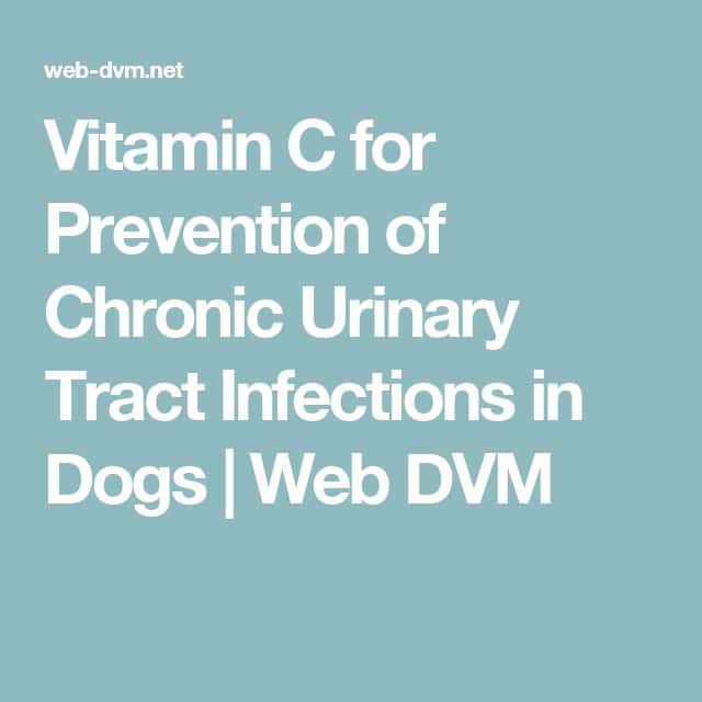 Vitamin C for Prevention of Chronic Urinary Tract Infections in Dogs ...