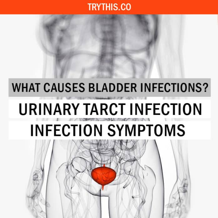 What Causes Bladder Infections? Urinary Tract Infection Symptoms ...