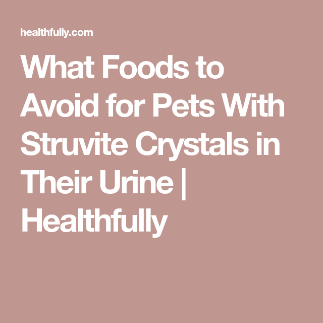 What Foods to Avoid for Pets With Struvite Crystals in Their Urine ...