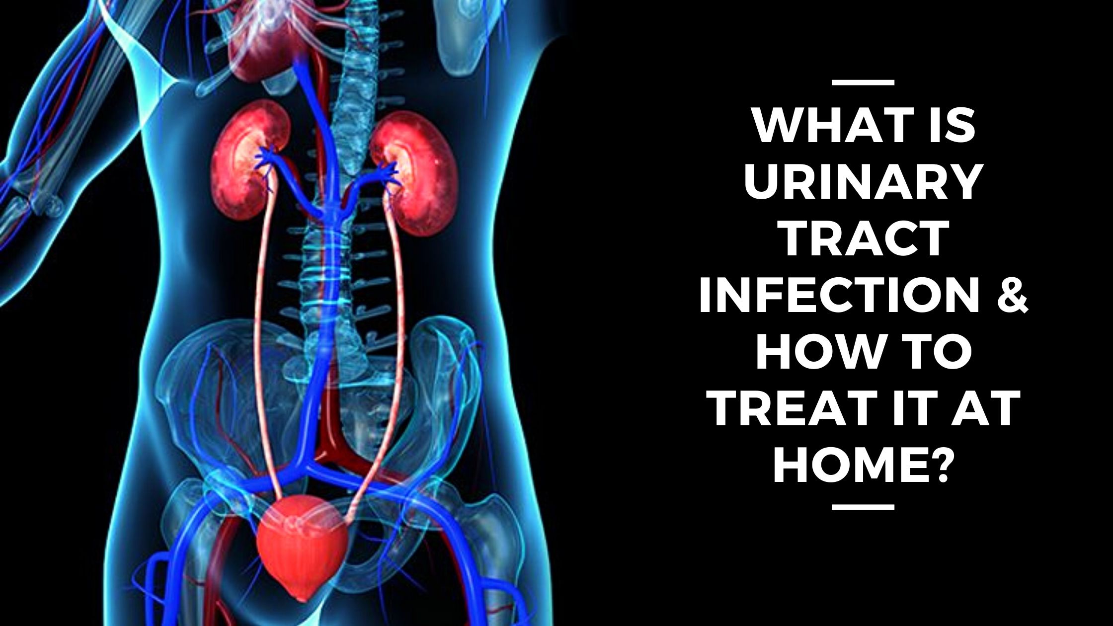 What Is Urinary Tract Infection &  How To Treat It At Home?