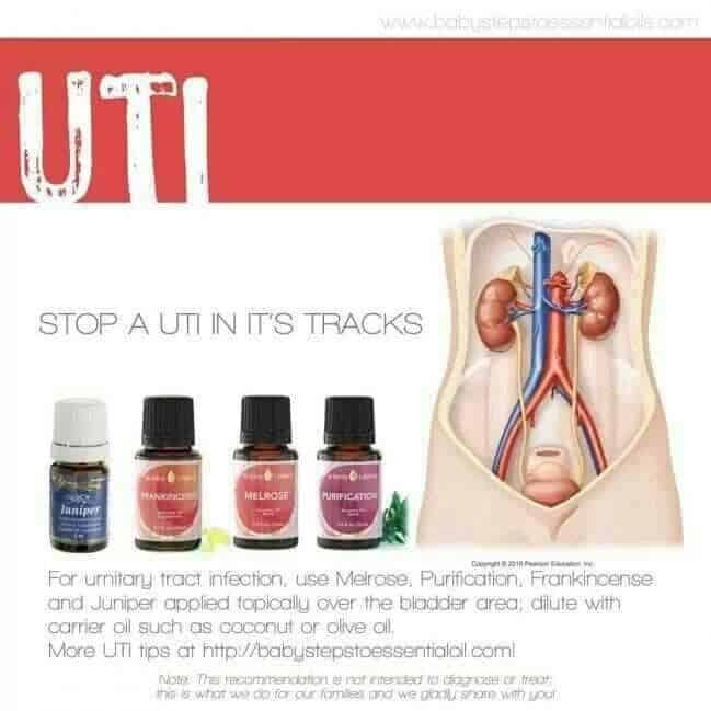 Young Living for UTI (With images)